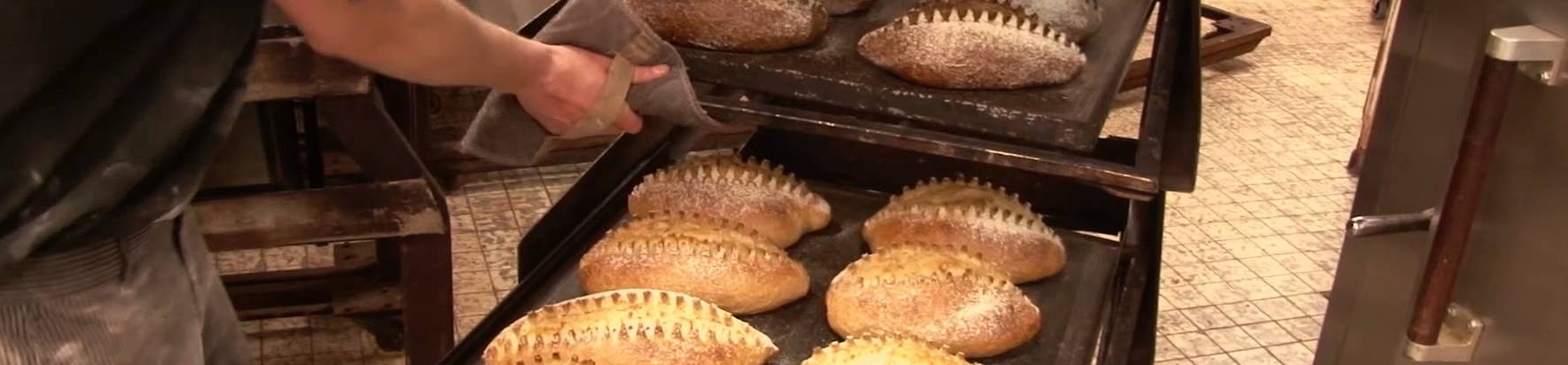 zonnelied brood